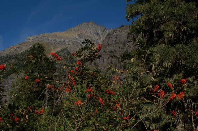 The surrounding mountains of Avalanche Lake